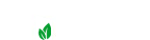 السارية الخضراء